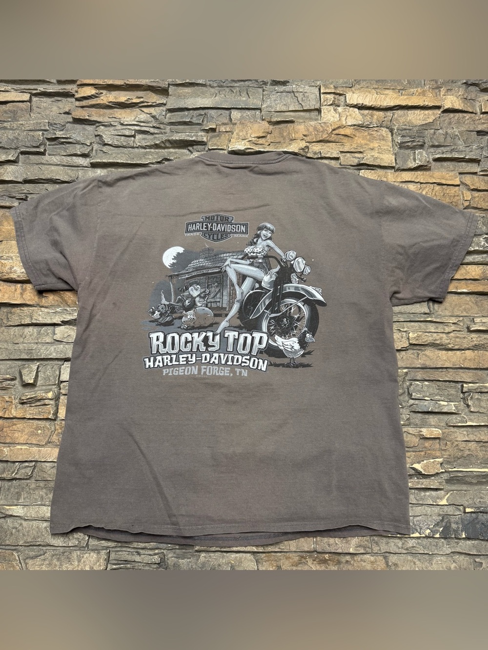 Harley Davidson Shirt Men XL Gray Pigeon Forge Tennessee Riding Motorcycle USA